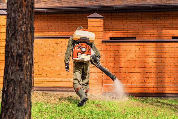 Bed Bug Clearance Verification and Documentation in Coral Gables